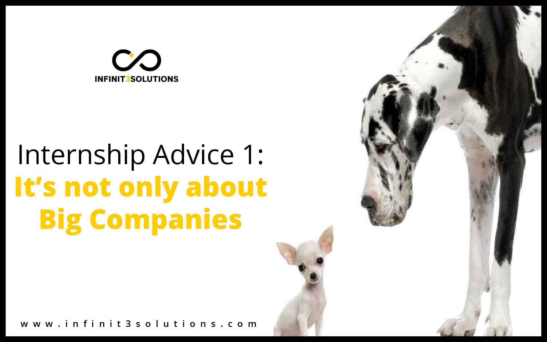 Internship advice 1: It's not only about big companies