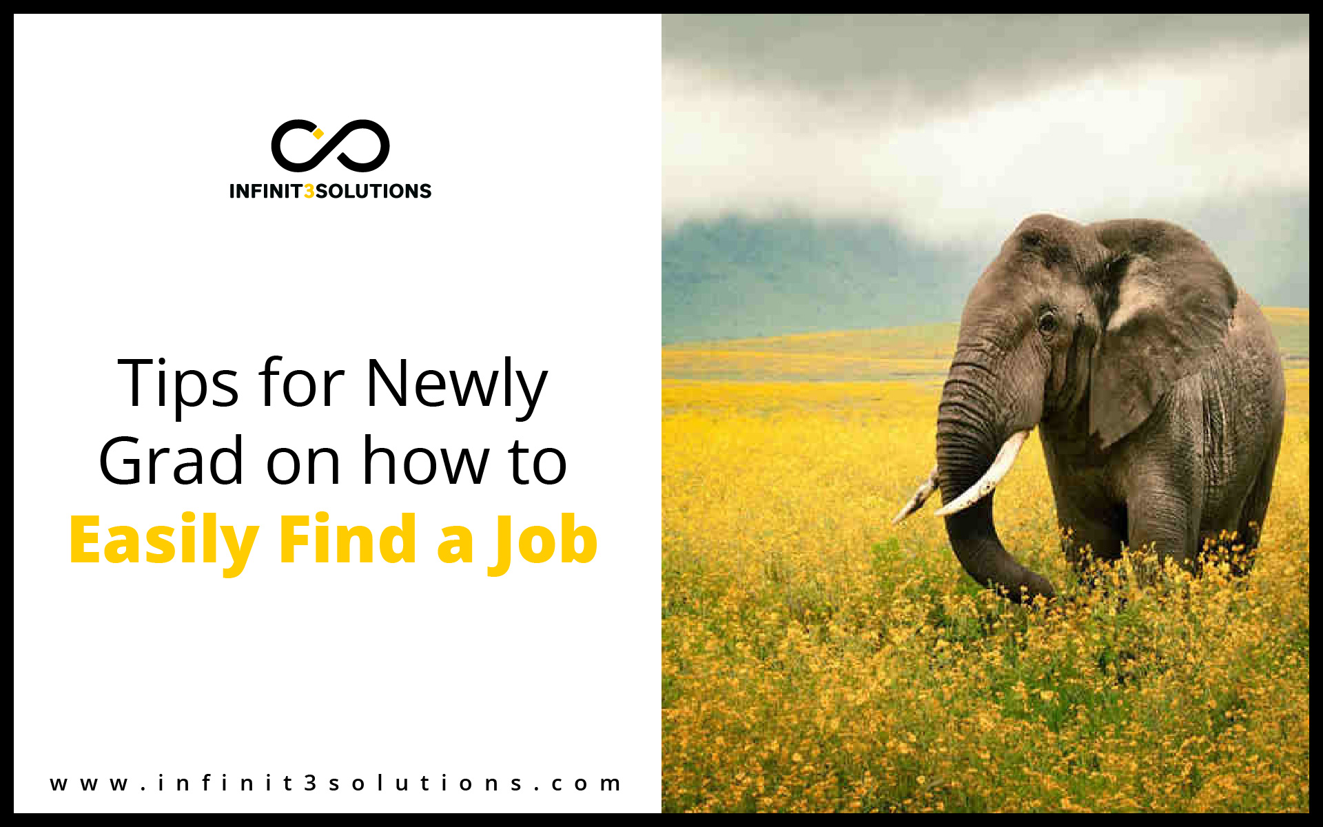 Tips for newly grad on how to easily find a job