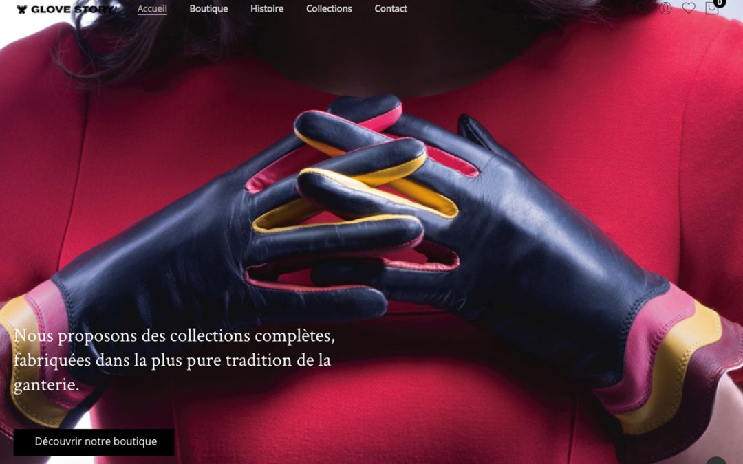 build your E-Commerce Website
